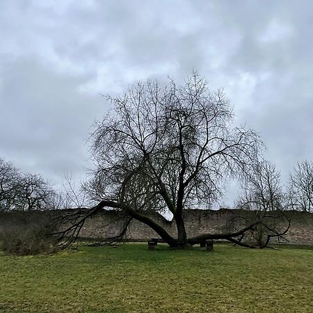 Delux Ferienwohnung Kunstgalerie Und Ilmradweg Kranichfeld Luaran gambar