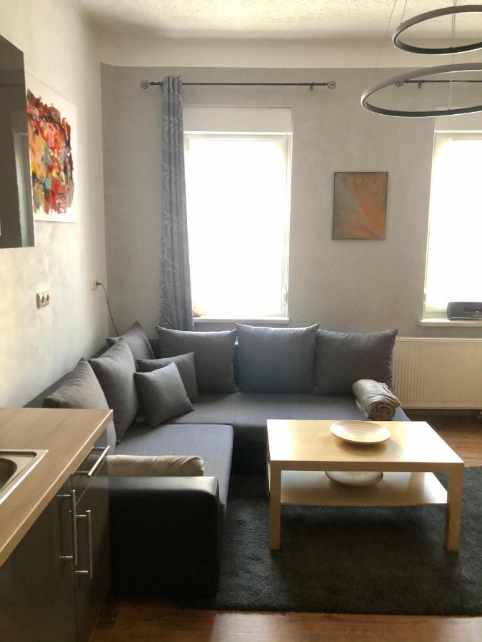 Delux Ferienwohnung Kunstgalerie Und Ilmradweg Kranichfeld Luaran gambar