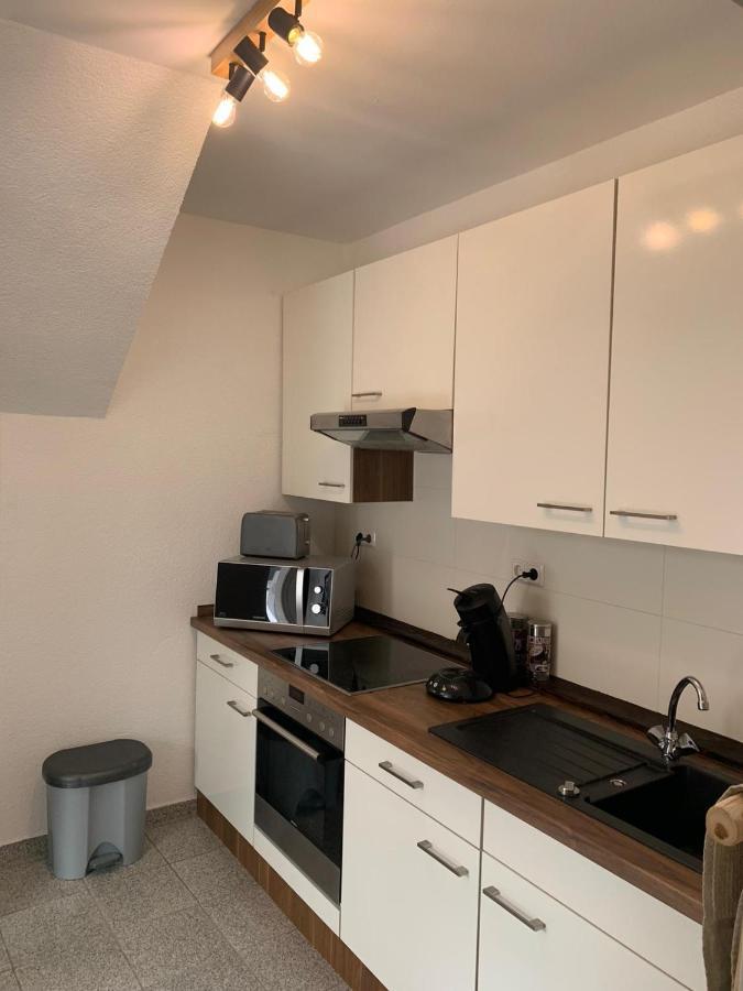 Delux Ferienwohnung Kunstgalerie Und Ilmradweg Kranichfeld Luaran gambar