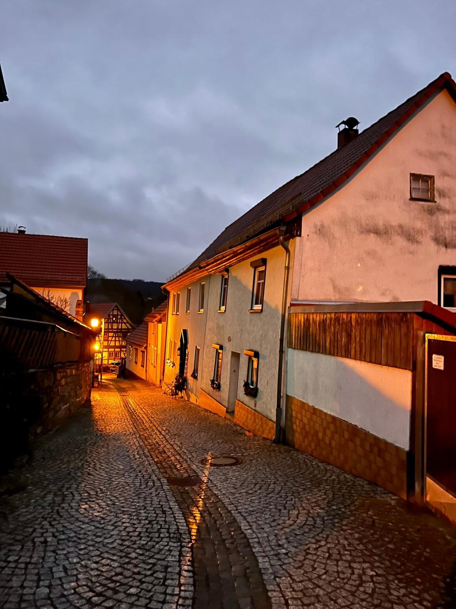 Delux Ferienwohnung Kunstgalerie Und Ilmradweg Kranichfeld Luaran gambar